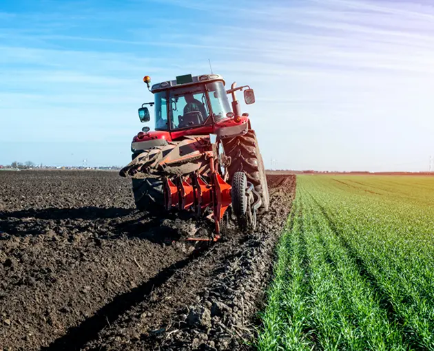 GLOBAL Agri-Food